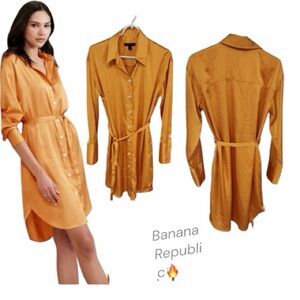 Banana Republic Women's Golden Long Sleeve Dress